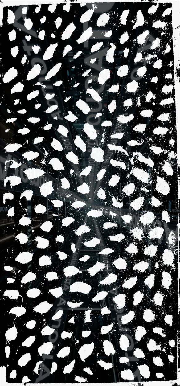 Nr_8, High-contrast pencil drawings on textured cardboard by AtomotA, showing organic cell patterns in black and white